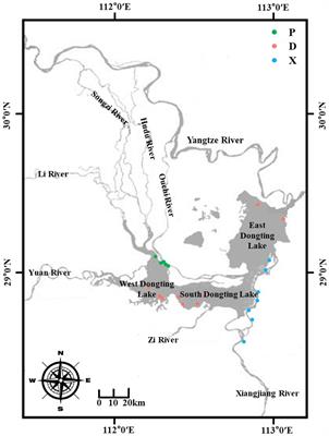 Biotic and abiotic properties mediating sediment microbial diversity and function in a river–lake continuum